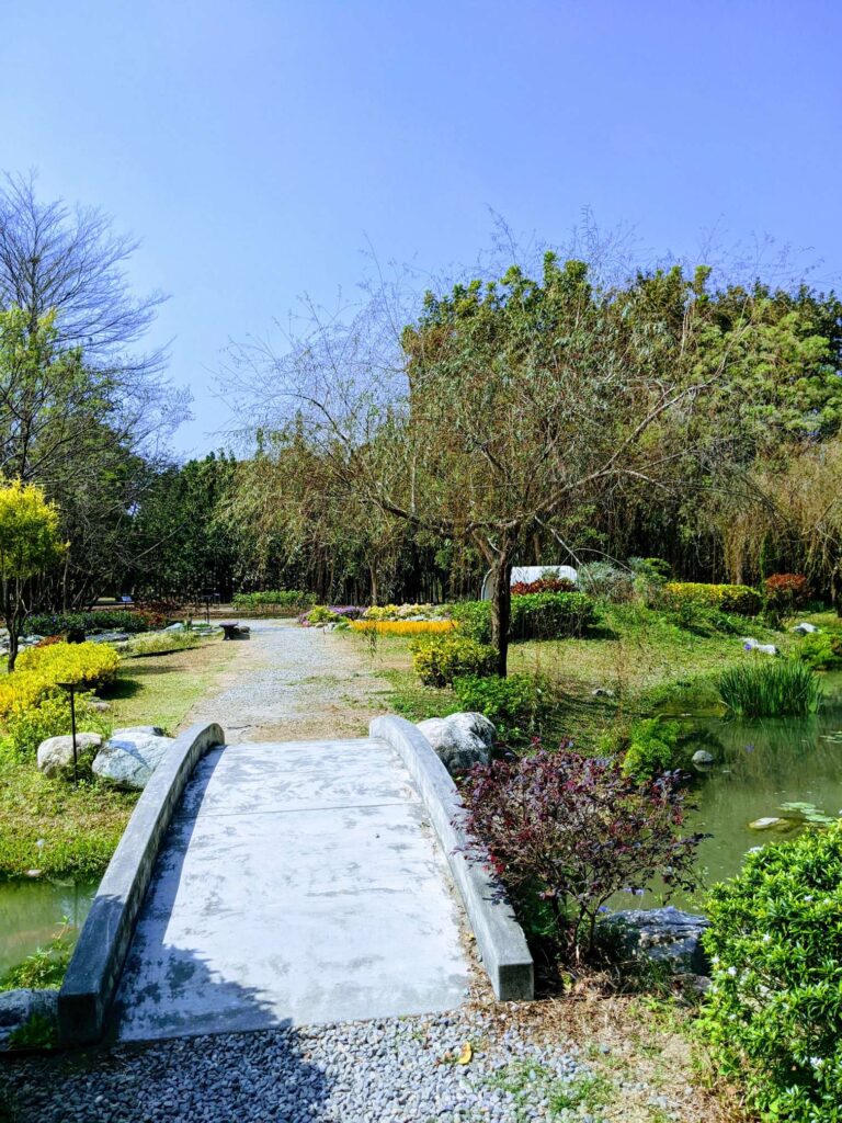 生態池看起來像富貴人家的後院