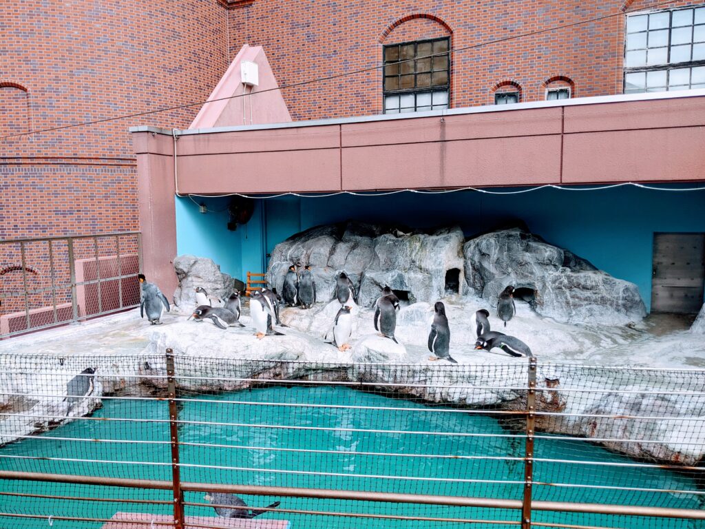 企鵝遊行終點站