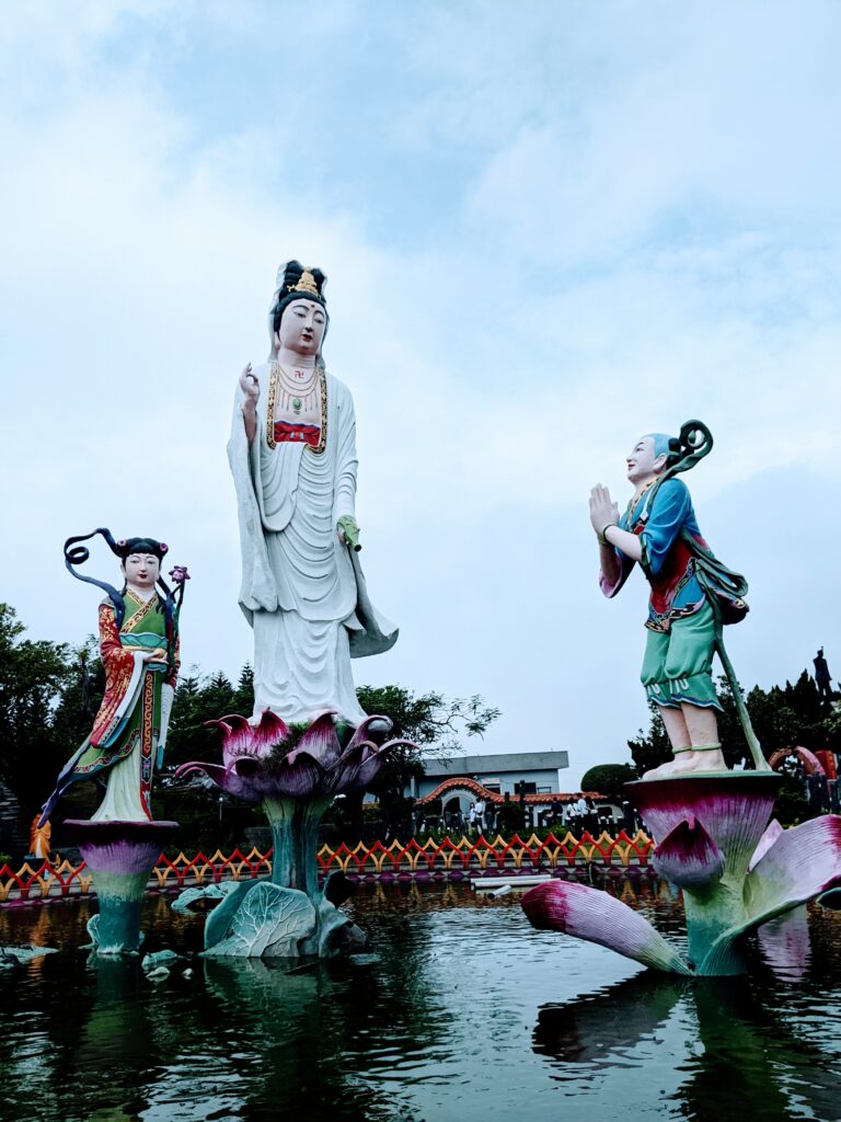 五年千歲公園的蓮花池