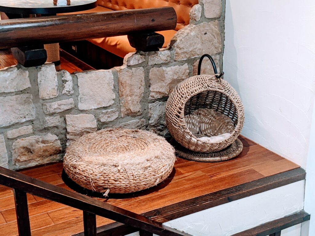 【新竹北區咖啡廳】招財咖啡:驚見水豚君鎮店!二樓貓咪天堂與卡比巴拉的雙重療癒體驗 招財咖啡各個角落都有貓窩