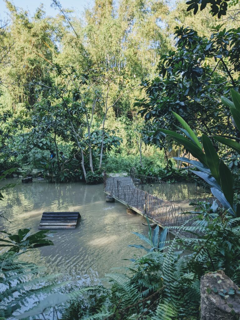 民雄金桔觀光工廠的小池子