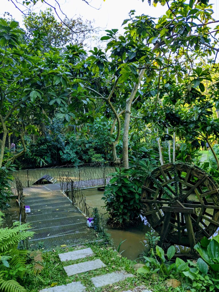 民雄金桔觀光工廠的小池子，可以從橋上穿過