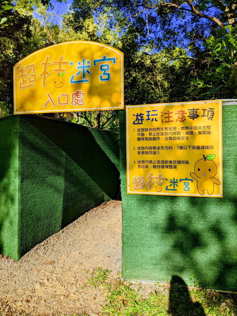 民雄金桔觀光工廠的超桔迷宮