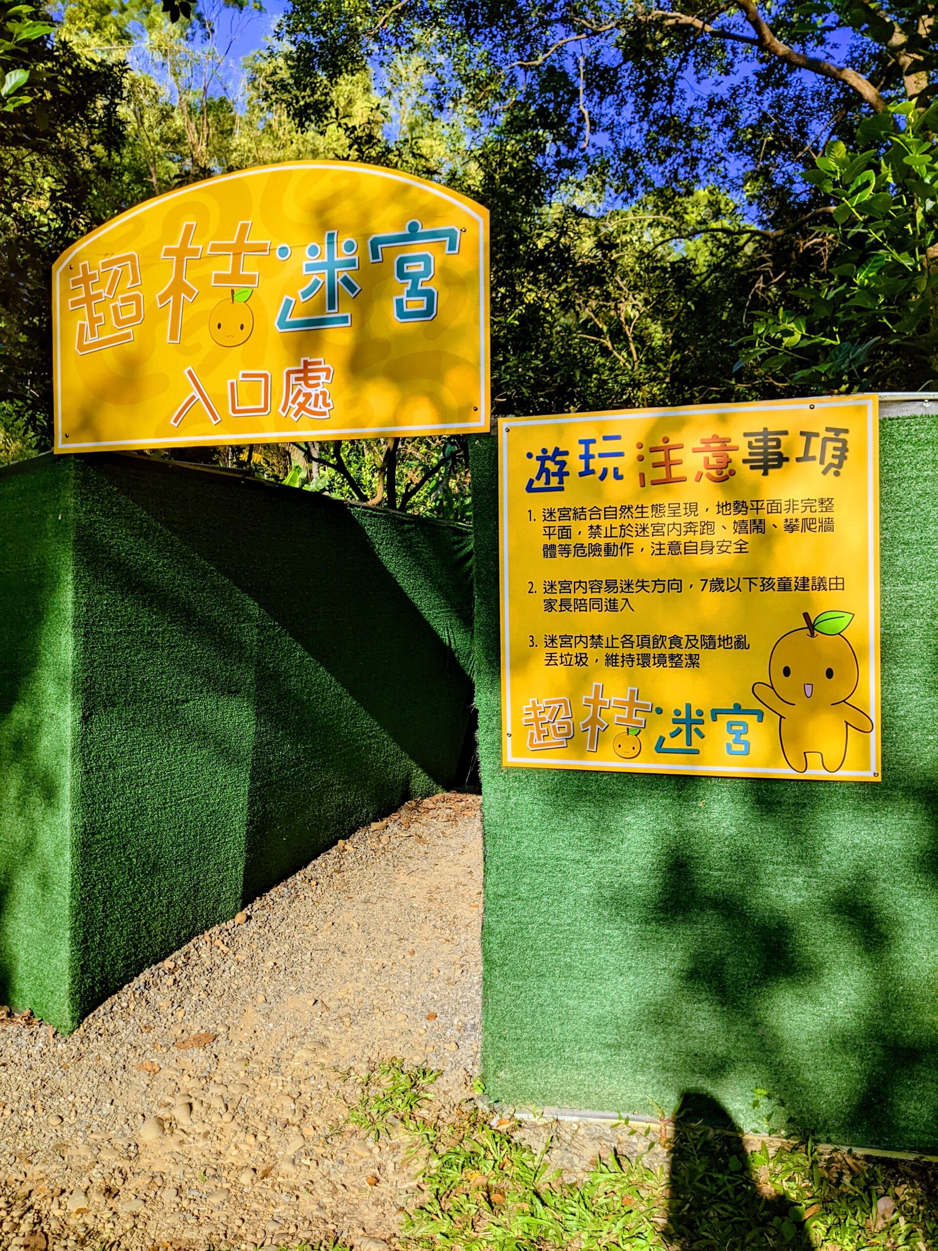 【嘉義民雄景點】民雄金桔觀光工廠:免門票的復古森林樂園!超難「超桔迷宮」等你來挑戰 - 35 Life