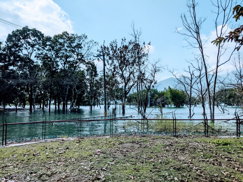 大埔湖濱公園的滿水位景致