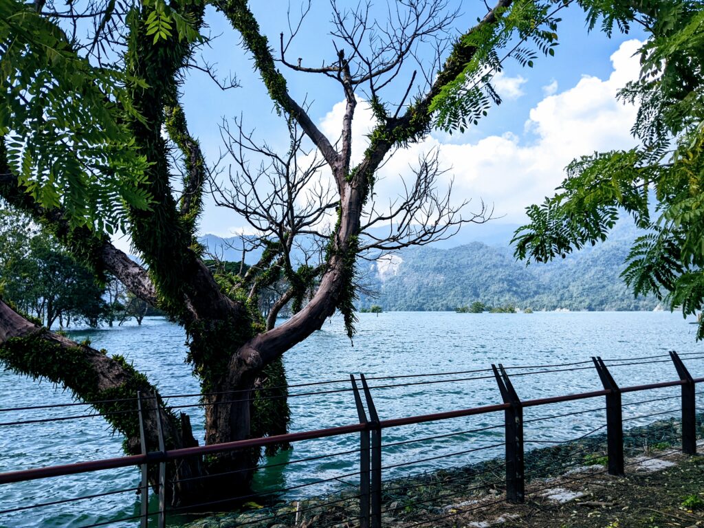 大埔湖濱公園的曾文水庫景致