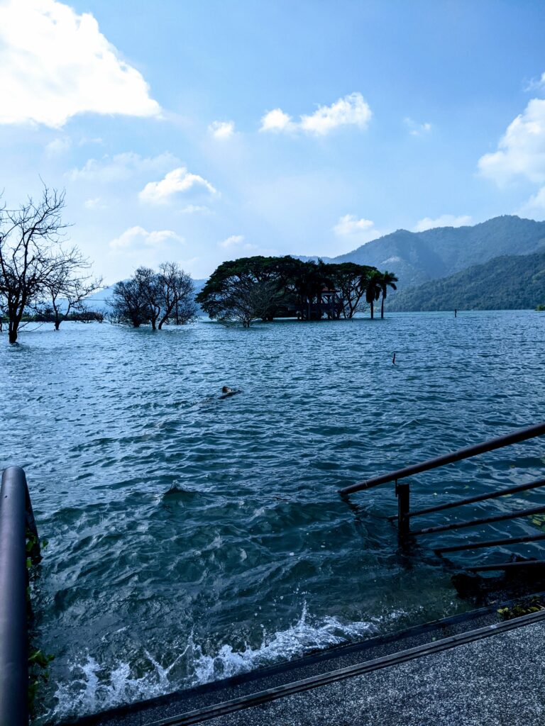 大埔湖濱公園被淹沒的道路