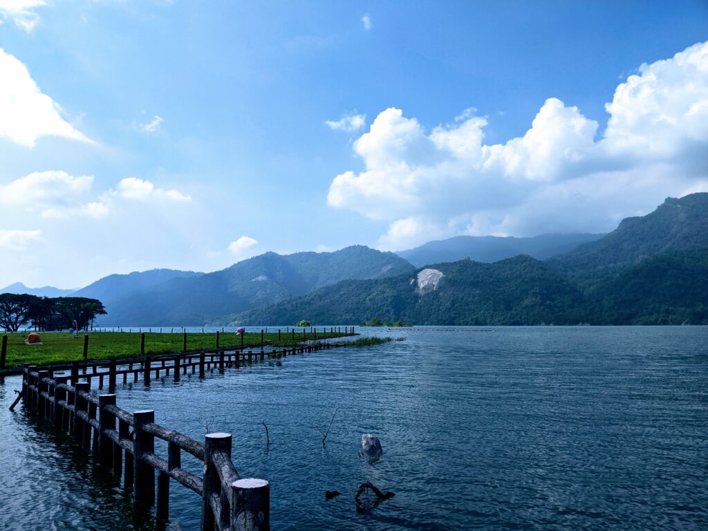 大埔湖濱公園中被淹沒的樹林-2