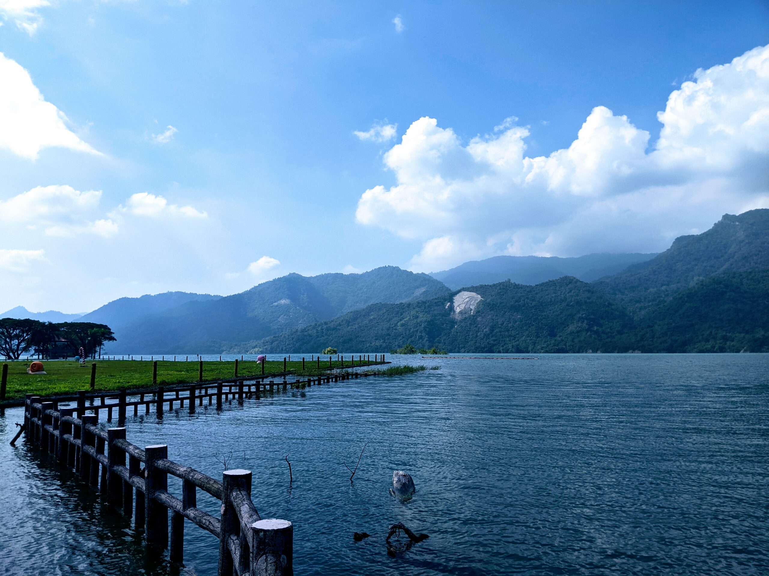 大埔湖濱公園中被淹沒的樹林-2