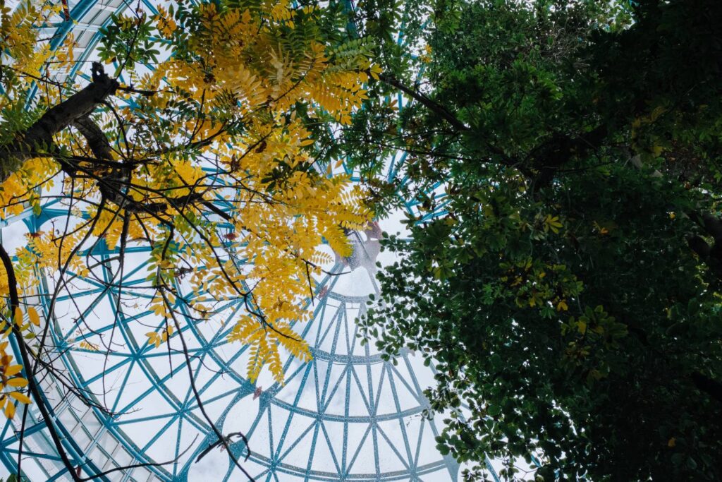 國立自然科學博物館植物園中的天空-2