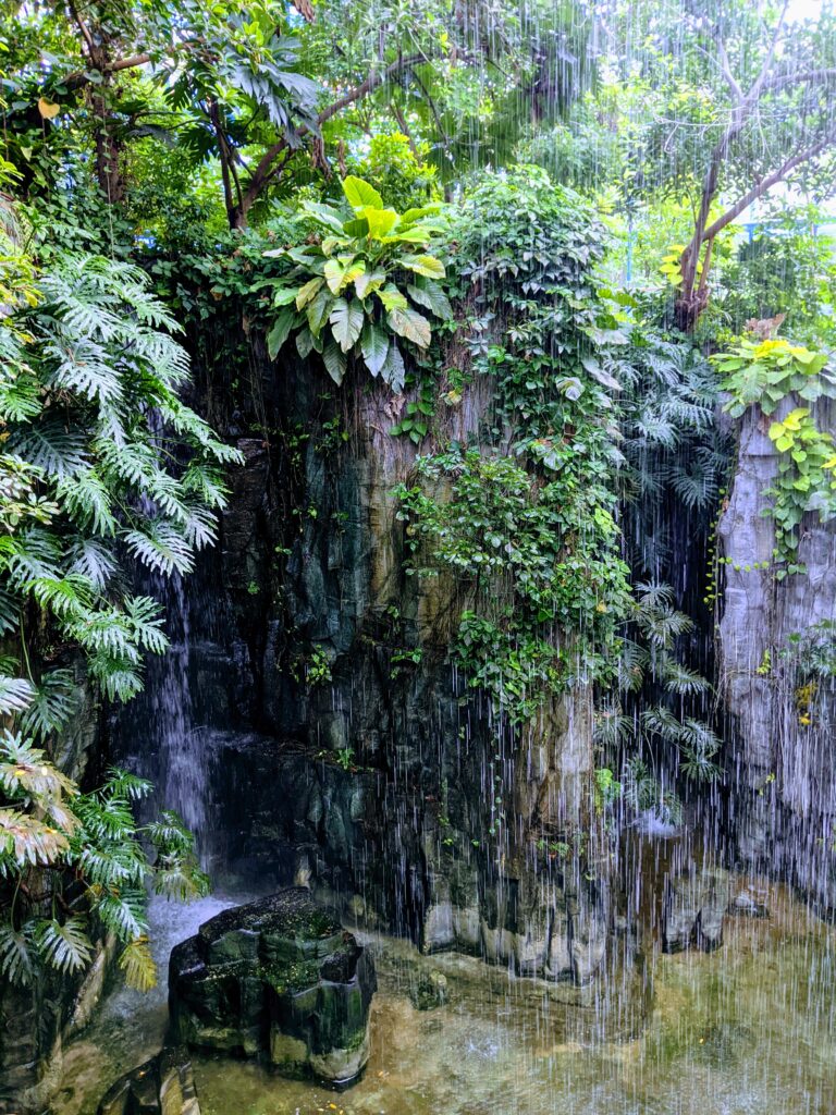國立自然科學博物館植物園的室內瀑布