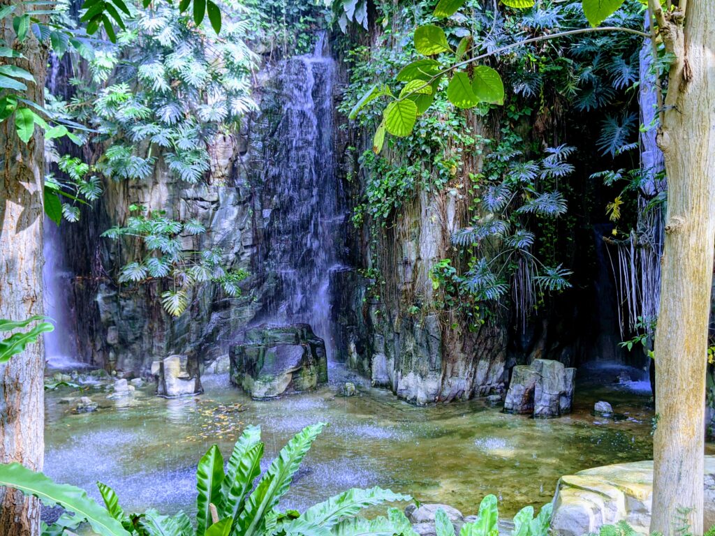 國立自然科學博物館植物園的室內瀑布(平面)