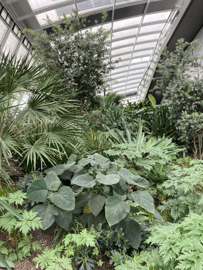 Sky Garden三層樓高的室內植物園