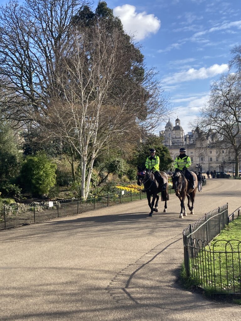 正在肯辛頓公園裡巡邏的英姿颯爽的騎警隊