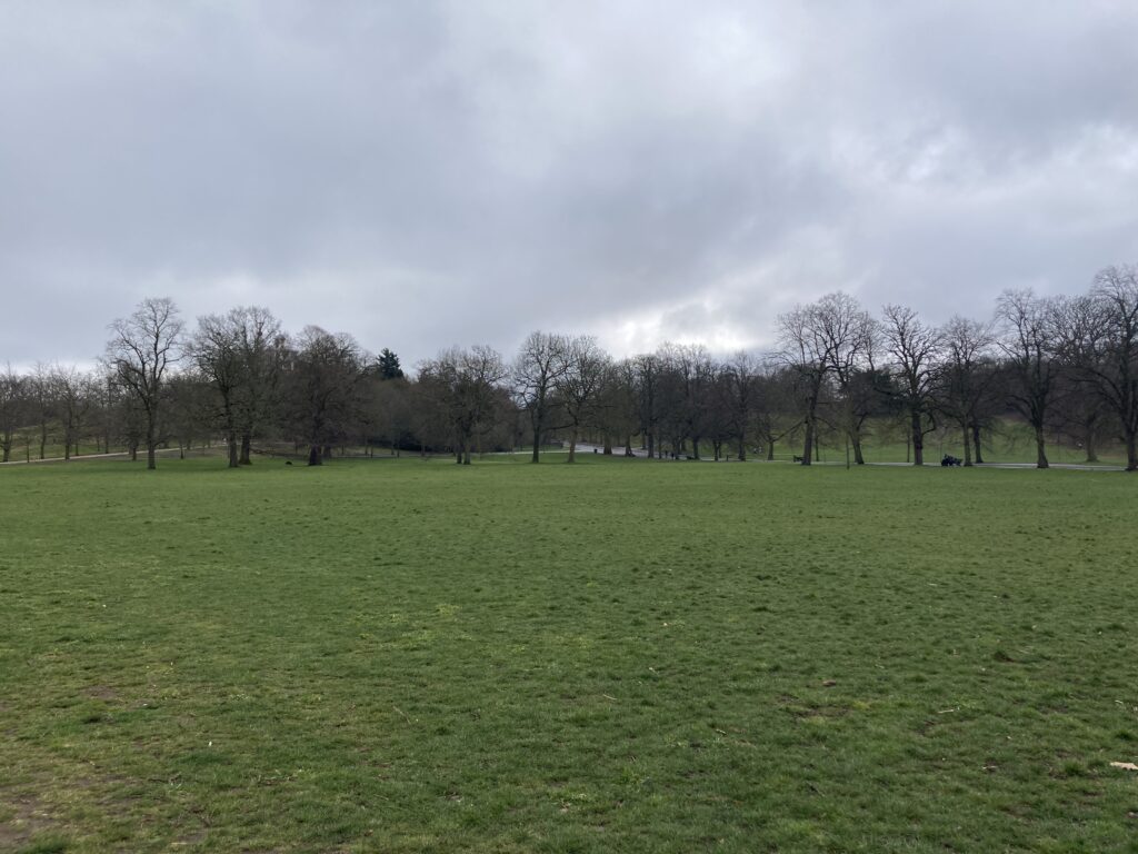 格林威治公園遼闊的大草皮