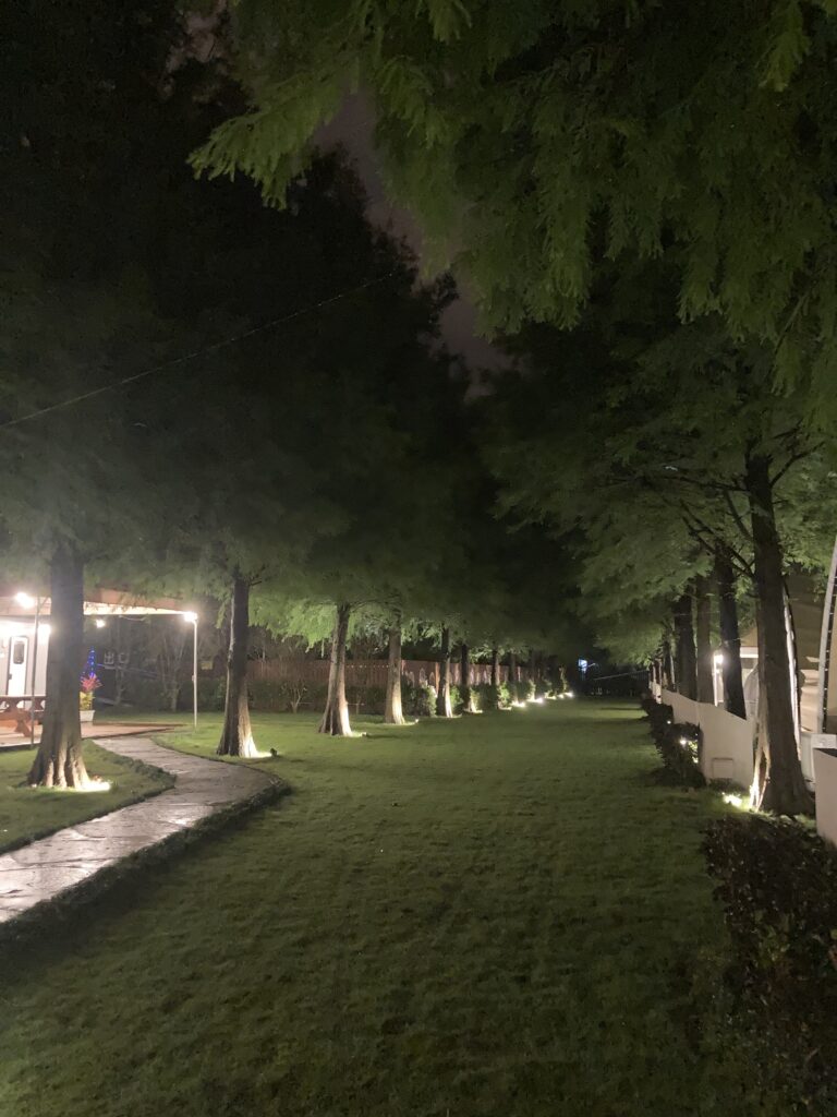 水與松森林莊園，夜間燈光氛圍