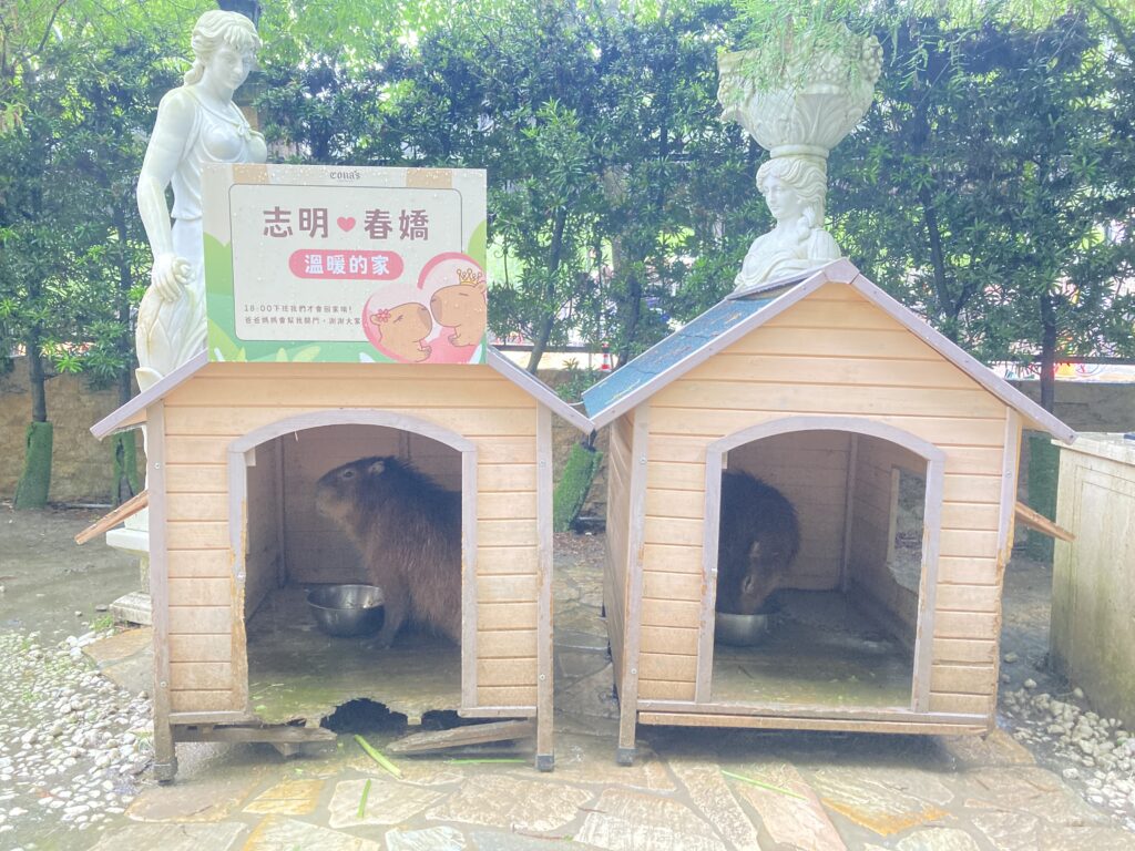 妮娜巧克力夢想城堡的卡比巴拉