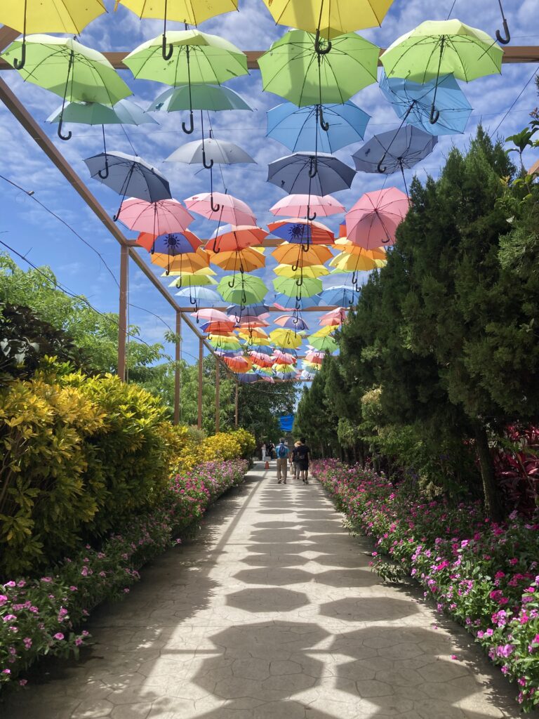三隻小豬觀光農場的彩虹雨傘步道