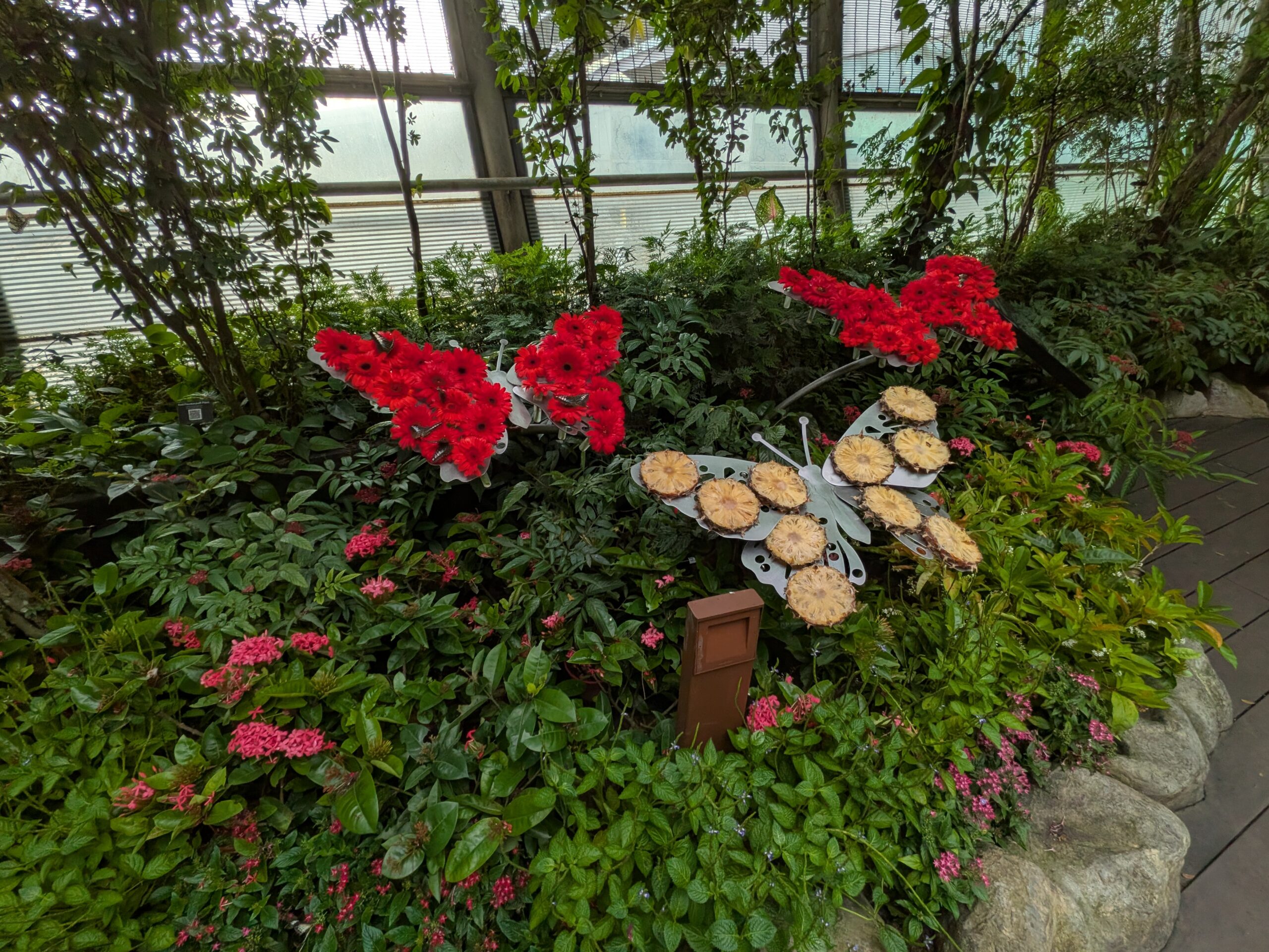 樟宜機場蝴蝶園