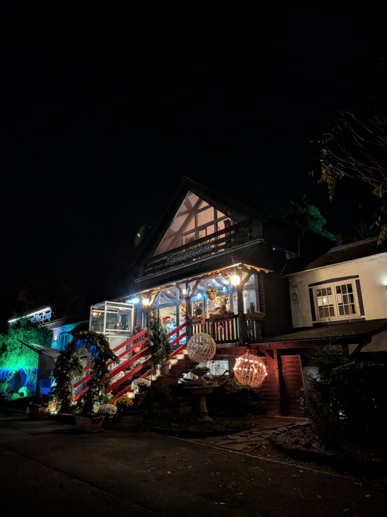 Hotel Restaurant Les Pins的夜間霓虹燈